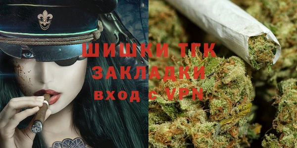ГАЛЛЮЦИНОГЕННЫЕ ГРИБЫ Абаза