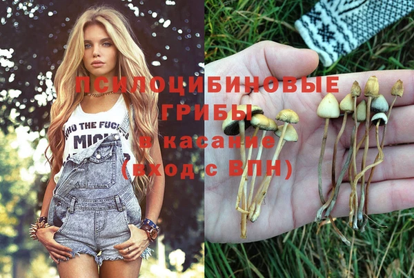 стаф Михайлов