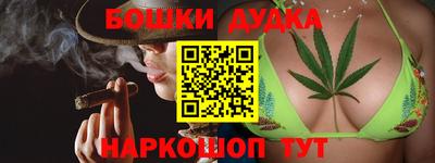 гидра Заводоуковск