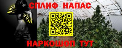 индика Жуковский