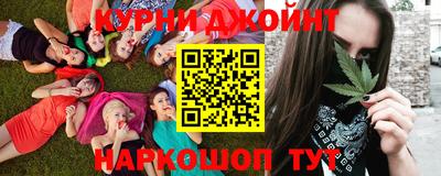 индика Жуковский